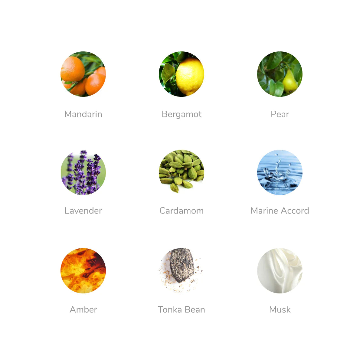 Cristiano Ronaldo Play It Cool  Eau De Toilette For Men Citrus & Aromatic Fougere Notes | Fragrance | Fresh Aromatic Fougere | 50 ml